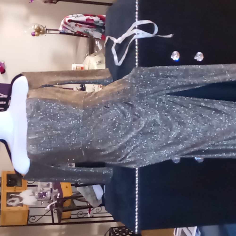 Gorgeous Metallic Gown